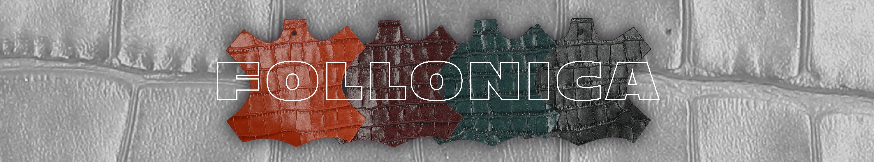 skora follonica