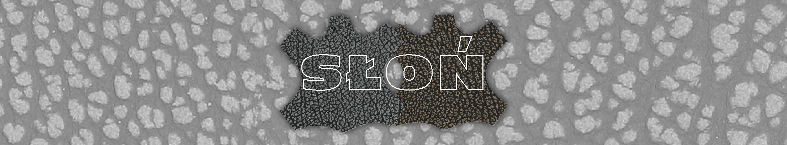 skora slon